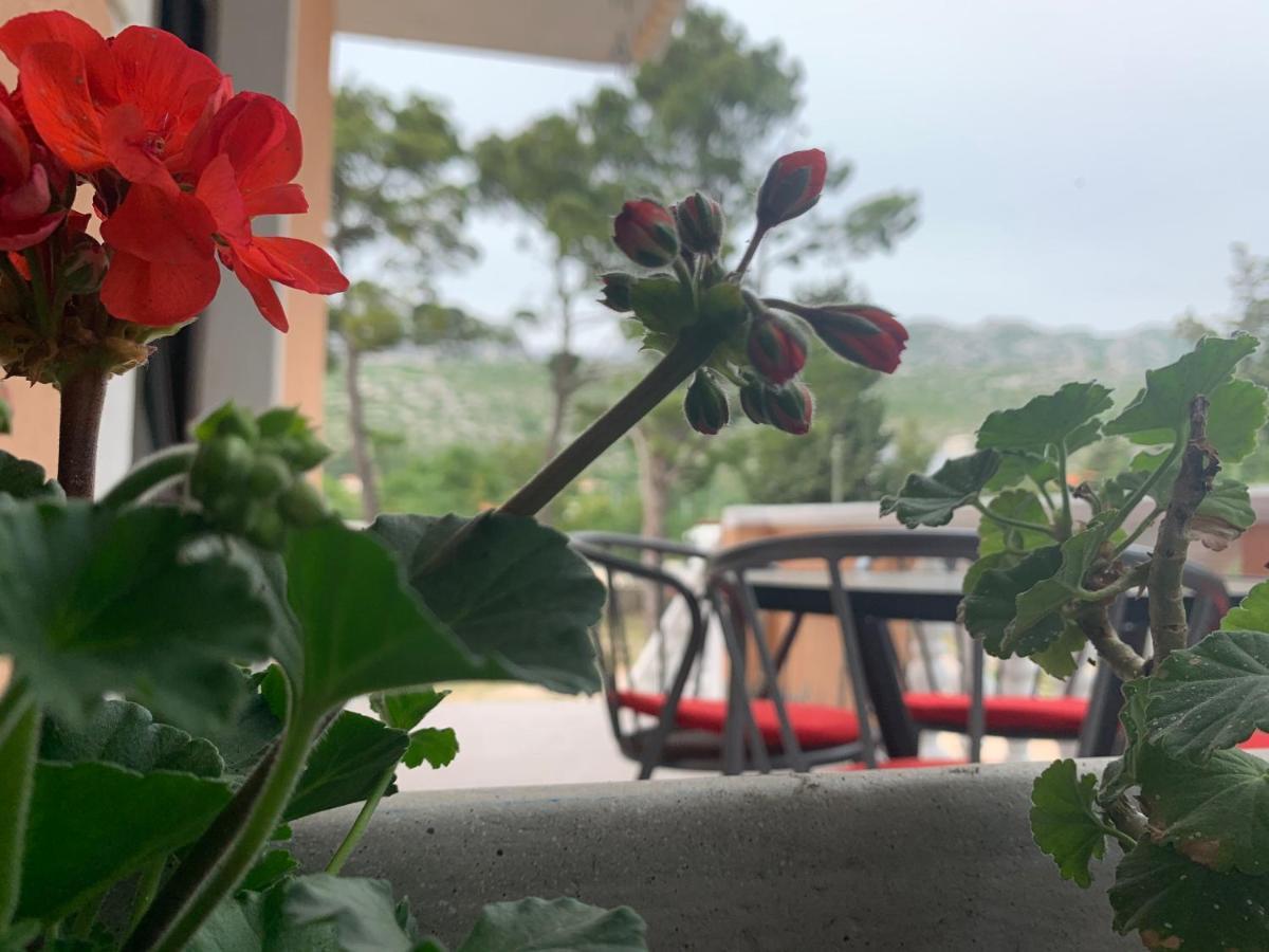 Apartmani Spomenka Seline Eksteriør billede
