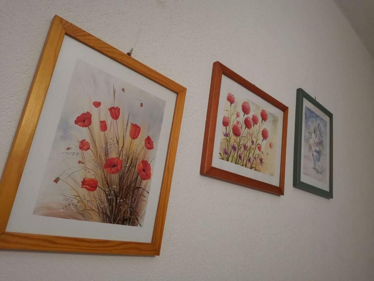 Apartmani Spomenka Seline Eksteriør billede